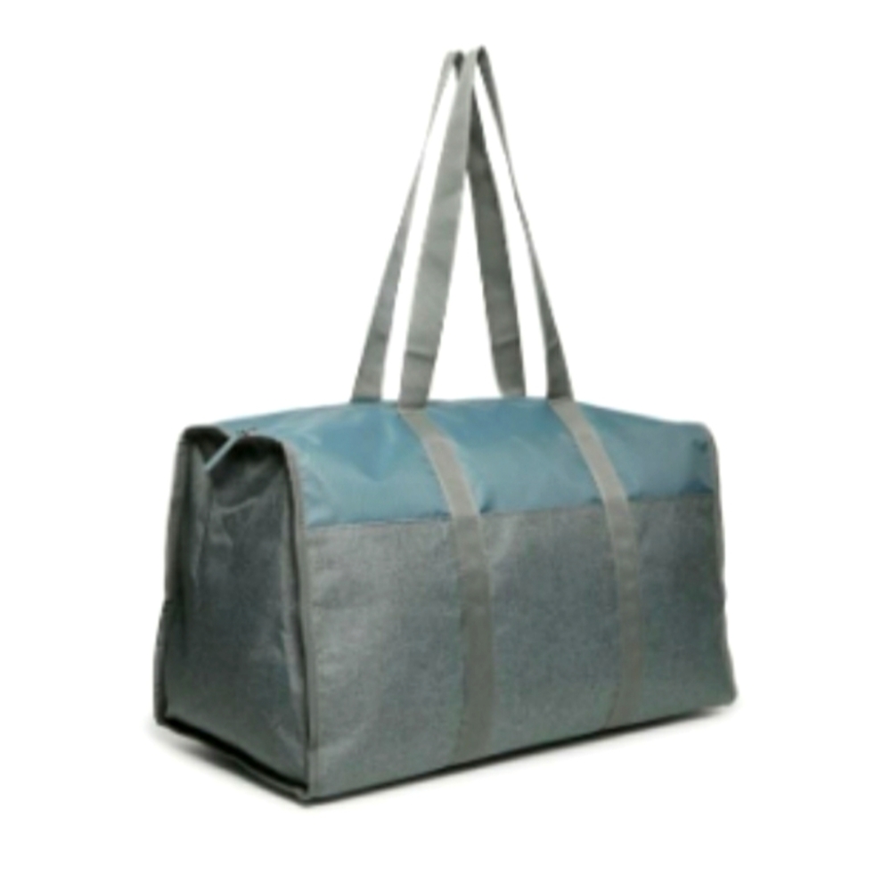 NEW DSW weekender bag
